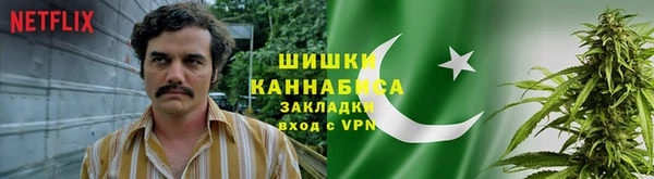прущие крисы Коряжма