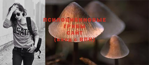прущие крисы Коряжма